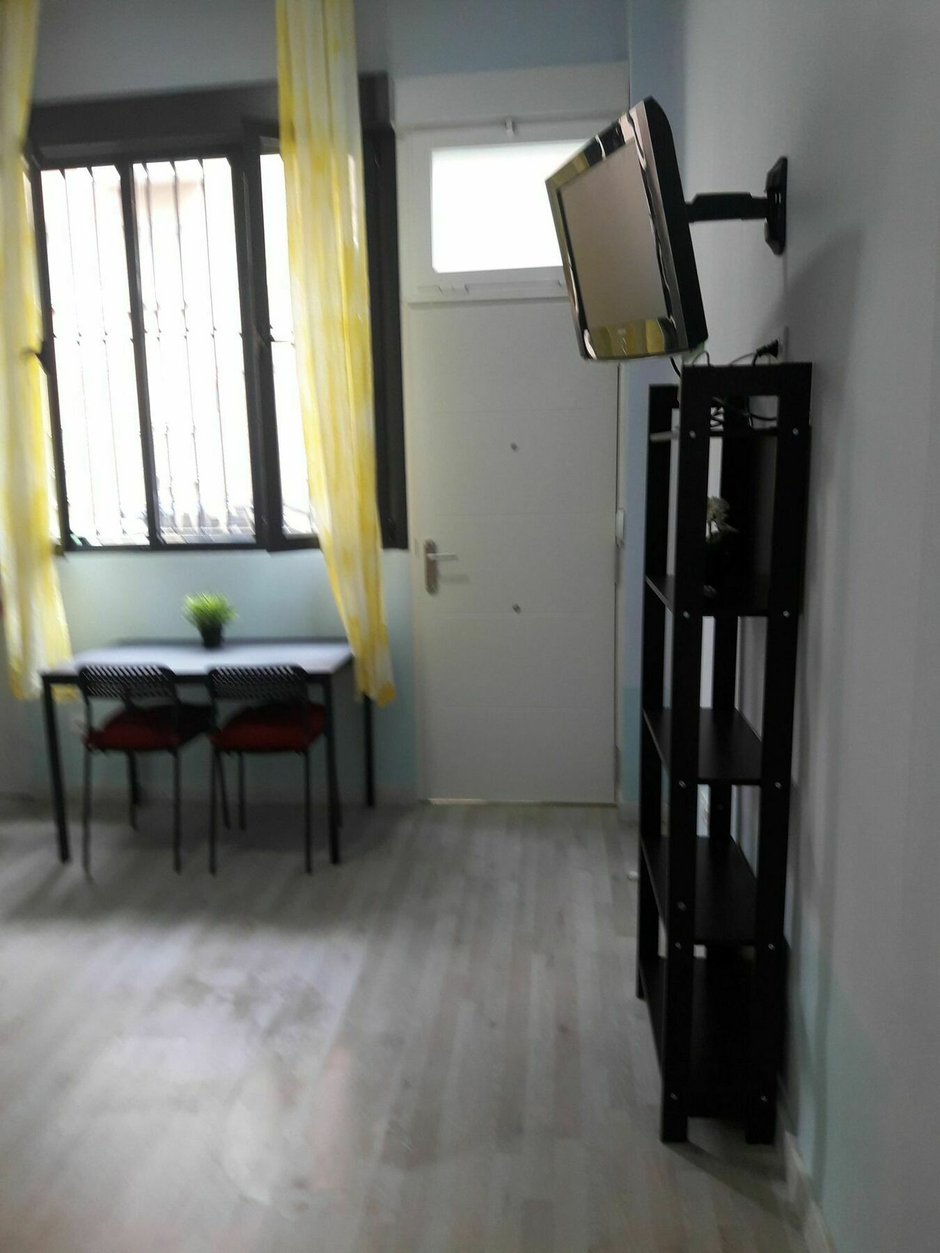 White Goose In Apartment